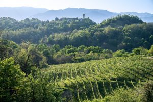 Colline asolane
