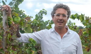 Guido Coffa