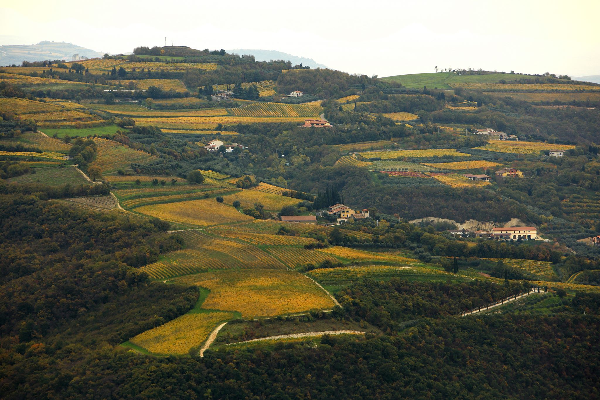 1672339185Panorama-27.jpg