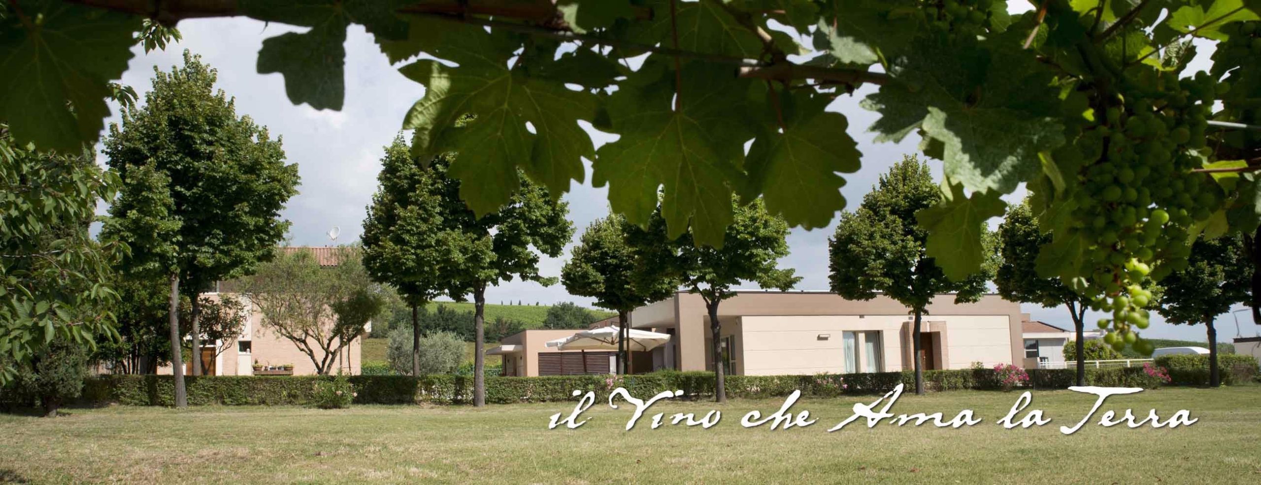 1672339449cantina-podere-vecciano-scaled.jpg