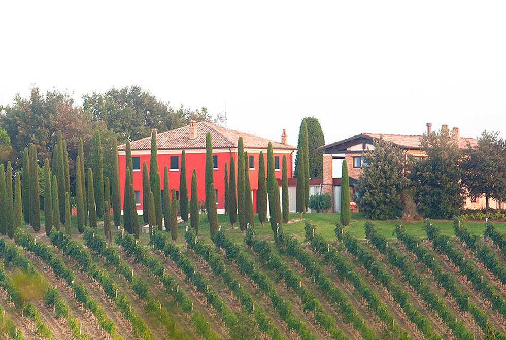 Podere Palazzo