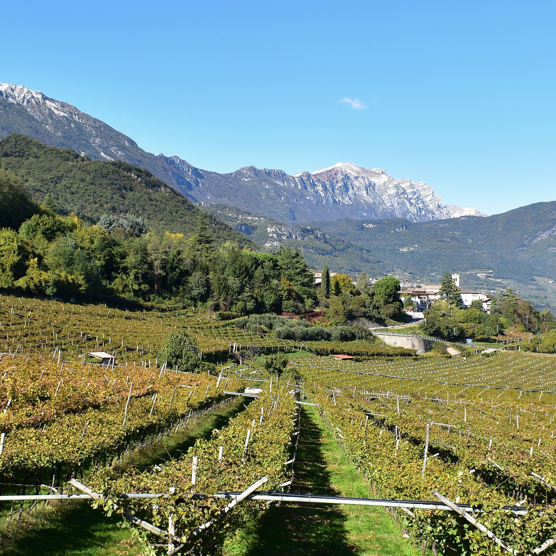 Trentino e Alto Adige