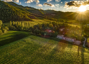 Tenuta-Piccolo-Brunelli