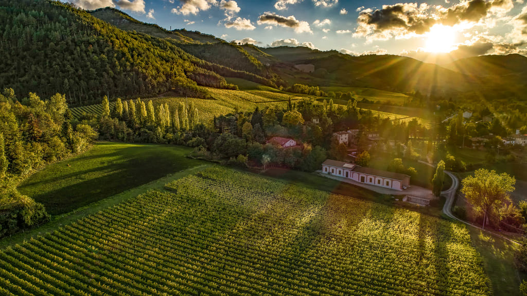 Tenuta-Piccolo-Brunelli