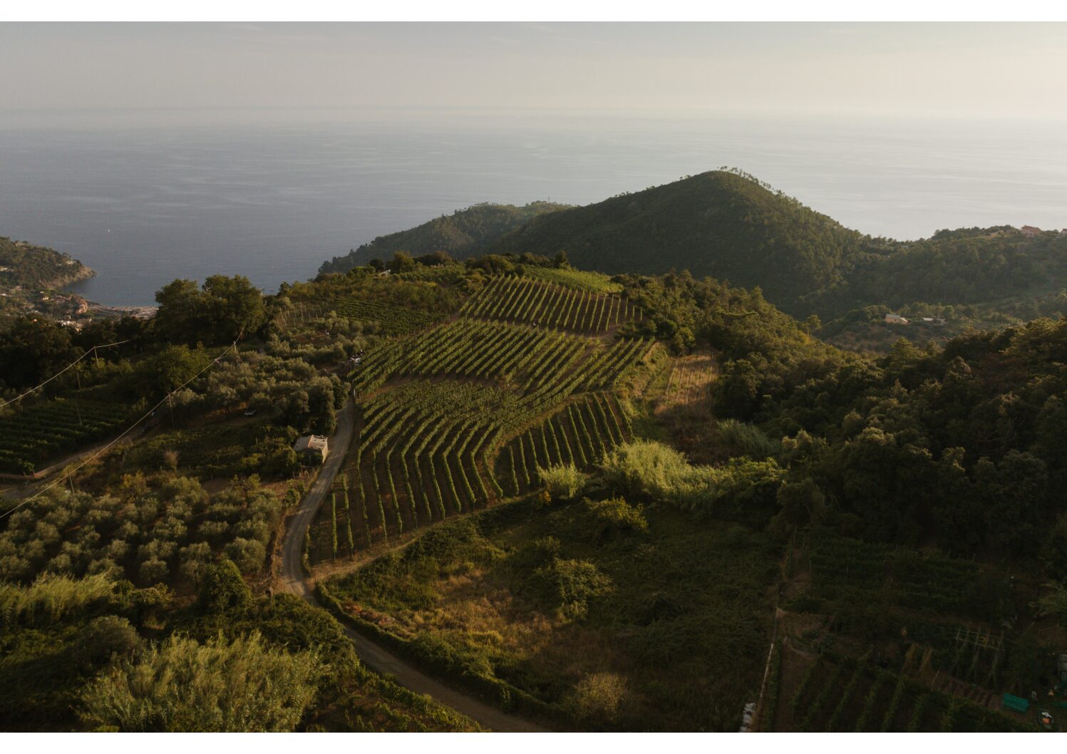 Ca╠Ç du Ferra╠Ç Wine & Tasting